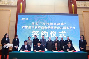 河北365集团 电子商务赋能，在新时代舞台绽放河北企业风采