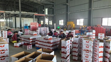 农产品与电商深度融合 赋能乡村振兴——陕能院学子调研云阳站电商扶贫基地