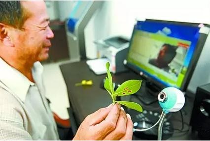 《农业电子商务试点方案》:农业部300亿补贴下发